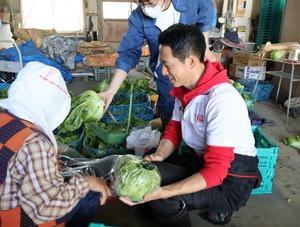 レタスの包装作業を体験する市長