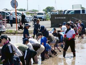 苗を持って参加者に配る市長