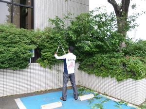刈込ばさみで作業をする市長