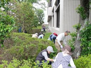 参加者が美化活動を行う様子