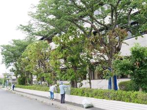 参加者が美化活動を行う様子