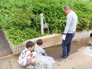 参加者が美化活動を行う様子