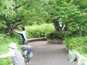 刈込ばさみで作業する市長