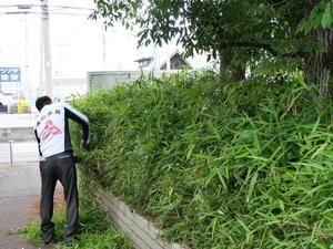刈込ばさみで作業をする市長