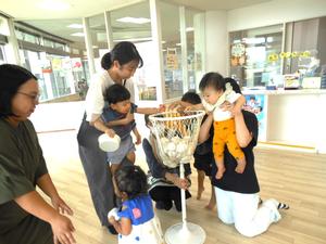 白組の玉入れで、ママに抱っこしてもらい玉を入れている子ども達の様子