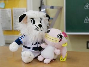 給食の時間、教室に飾られたレオとなまりんのぬいぐるみ