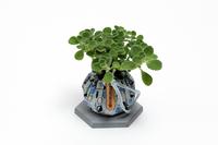 花活布の画像