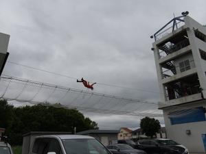 訓練展示の様子
