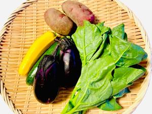 収穫したなすやオクラ