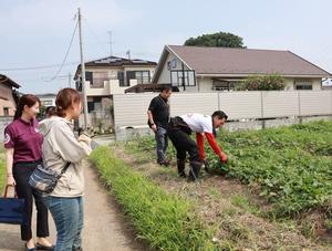圃場で農作業を行う市長