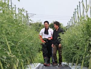 平野さんに圃場を案内される市長