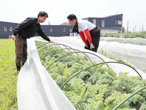 平野さんから野菜の説明を受ける市長