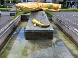 綺麗になった金のなまずと池