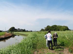 水路修繕の現場を視察する市長