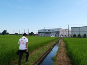 水路修繕の現場を視察する市長