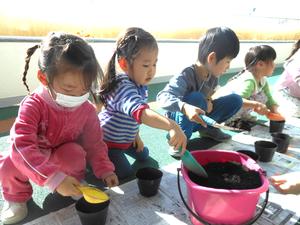 テラスで黒いカップに球根を植えている子ども達の様子