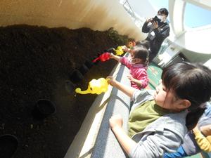 ぞうさんじょうろを使って、テラスの花壇に水をあげている子ども達の様子