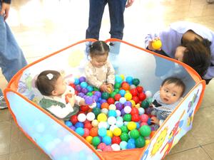 ボールプールに入っている3人の赤ちゃんの様子