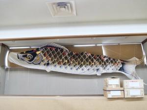 店内に飾られた鯉のぼり