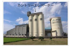 カントリーエレベーターの外観