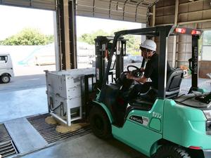 フォークリフトで籾を運ぶ様子