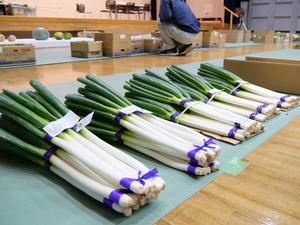 会場に並べられた野菜、花