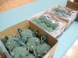 会場に並べられた野菜、花