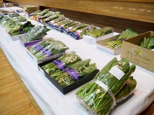 会場に並べられた野菜、花