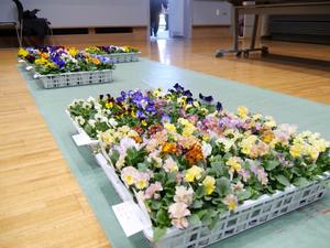 会場に並べられた野菜、花