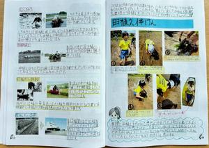 花本さんの論文の写真