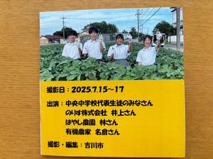 動画のDVDのジャケット