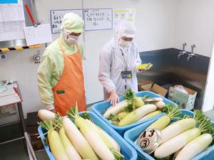 市長の給食センター業務体験の様子、食材点検