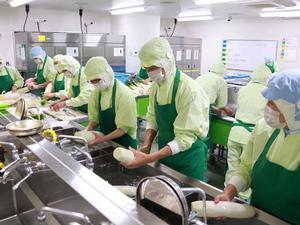 市長の給食センター業務体験の様子、食材洗浄