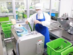 市長の給食センター業務体験の様子、食材切り