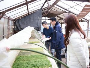 ハウス内を視察する市長