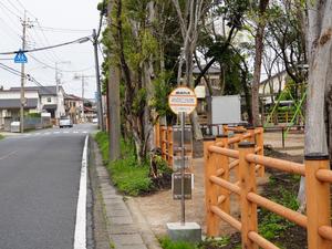 市内の様子