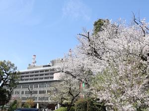埼玉県市長会役員会の様子