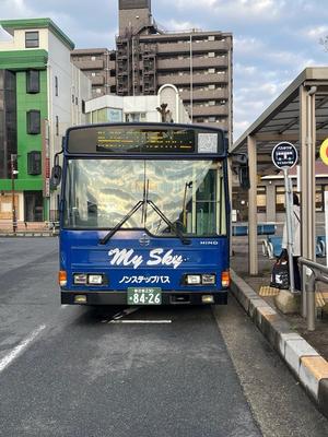 バス路線