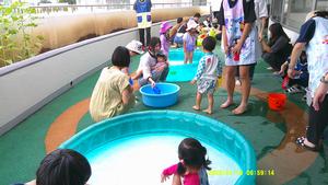 プールやたらいで水遊びを楽しむ全体の様子