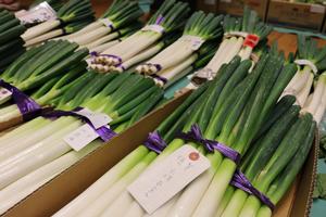 過去の農産物品評会・即売会写真
