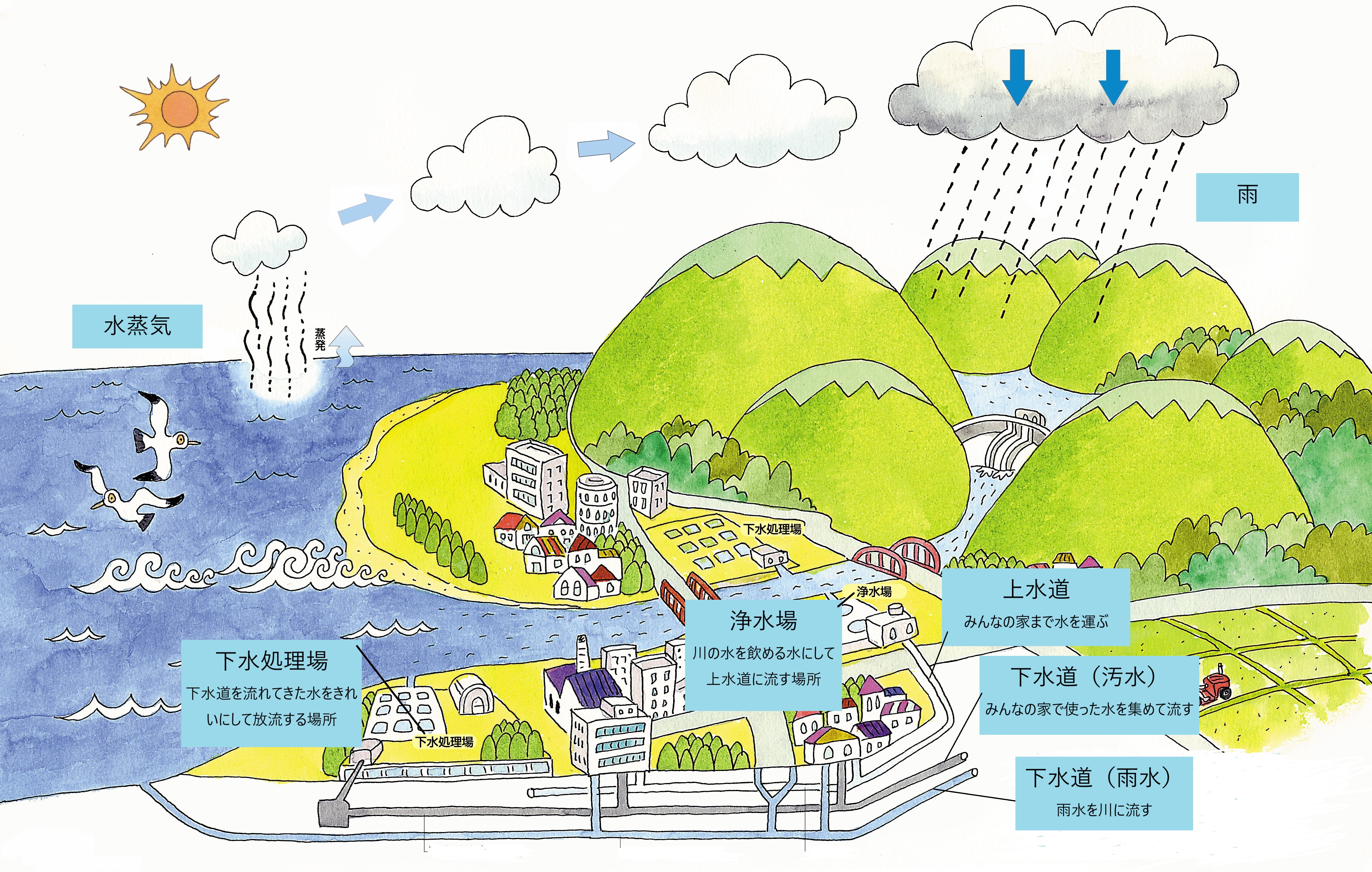 下水道の役割としくみ
