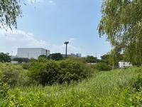 東埼玉テクノポリス調整池の写真