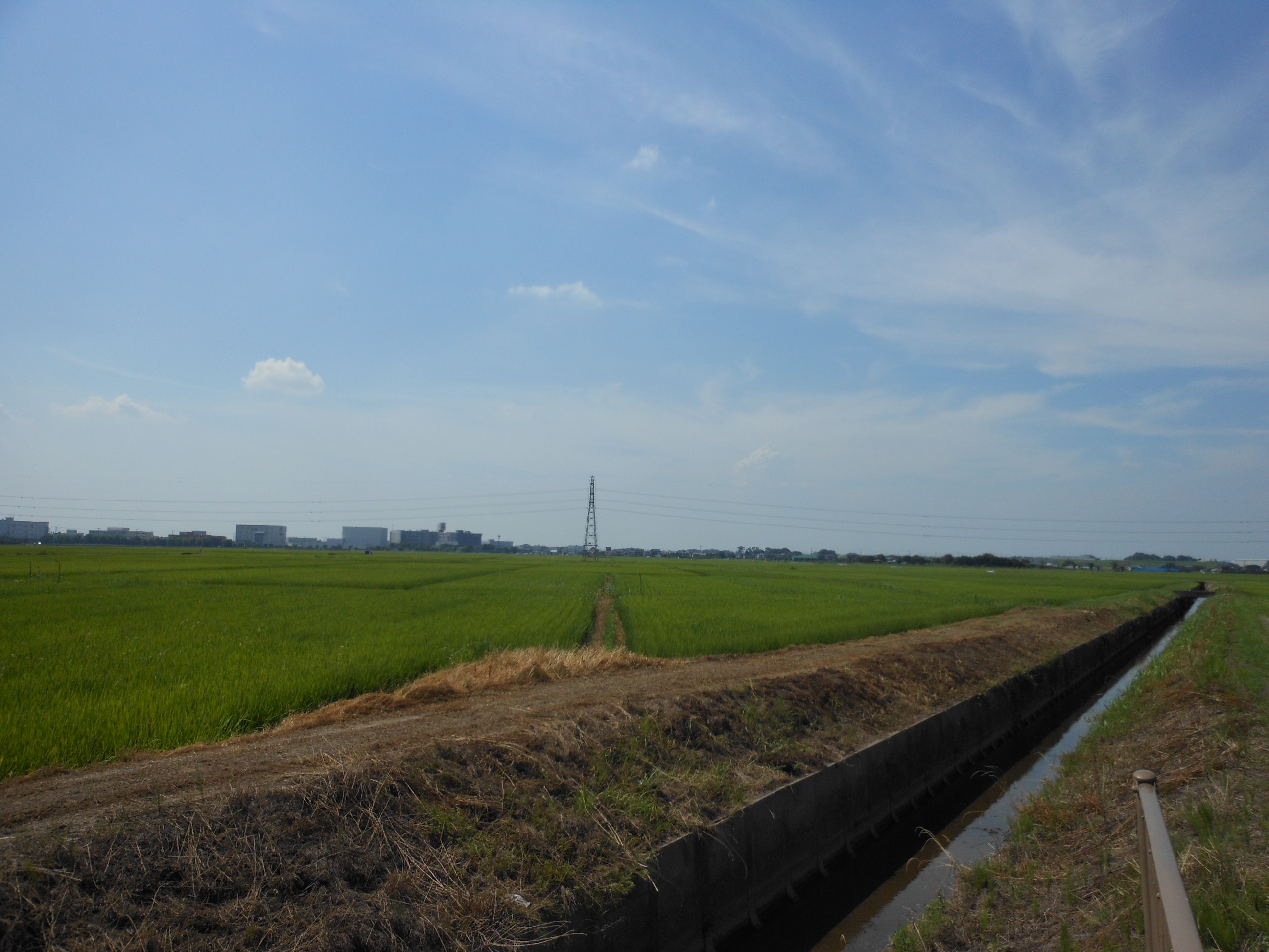 田園風景