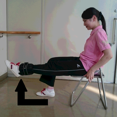 膝を伸ばす運動（伸縮）