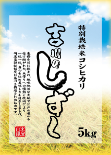 吉川産特別栽培米コシヒカリ「吉川のしずく」