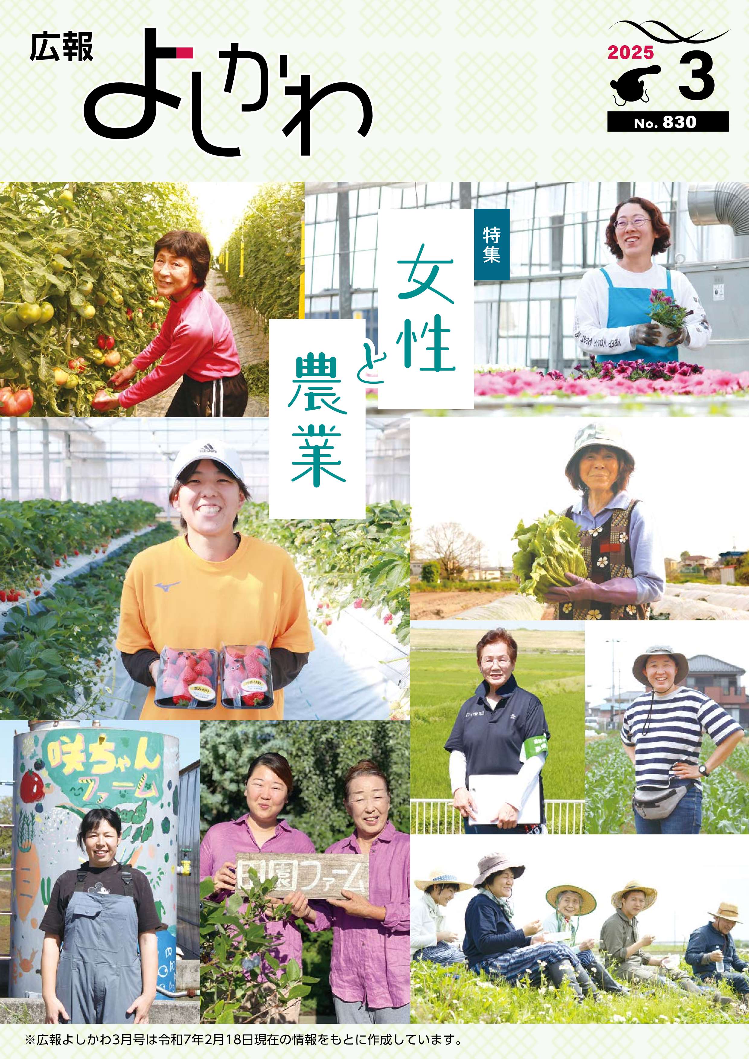 広報よしかわ3月号