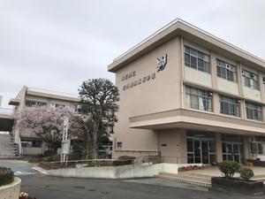 吉川美南高校校舎と桜