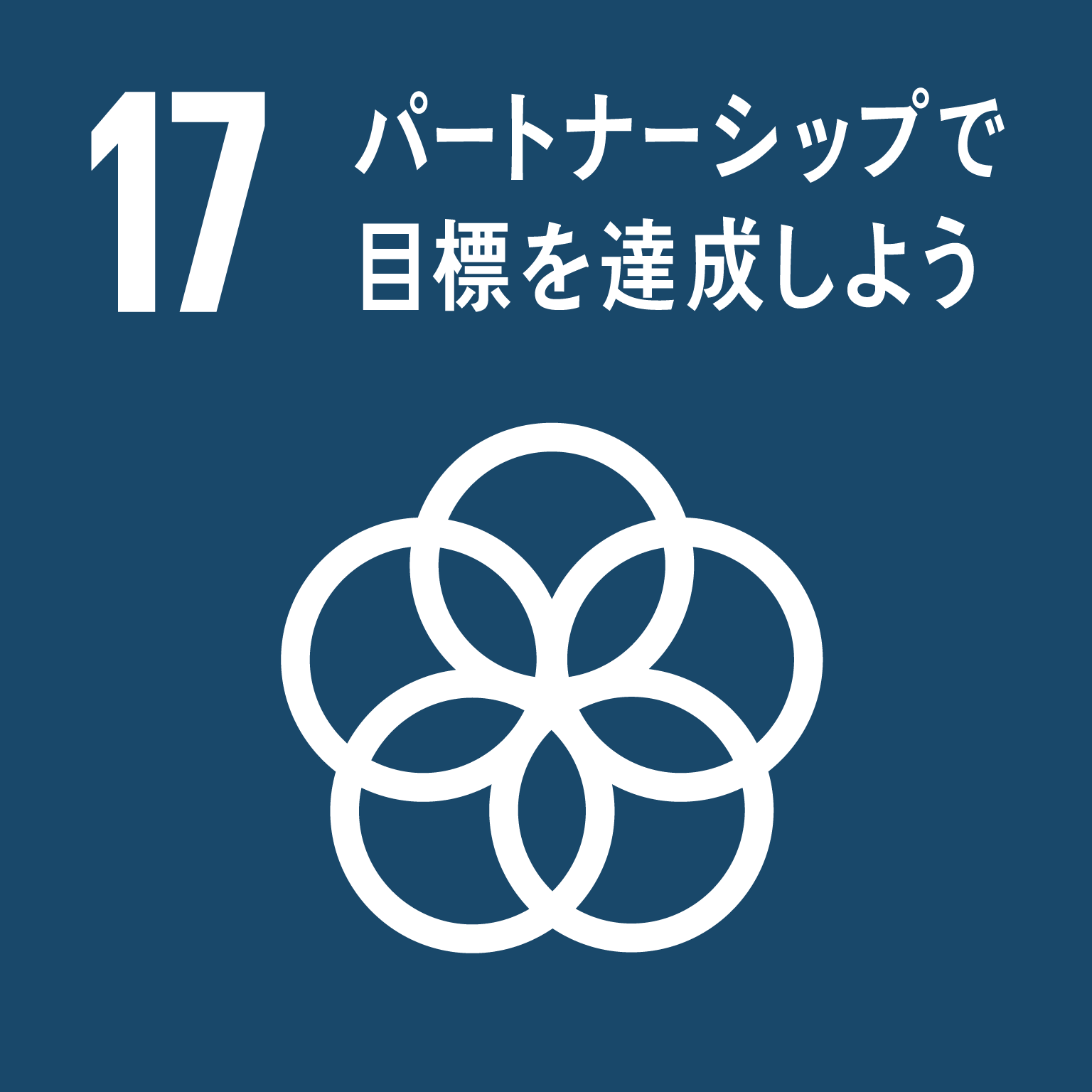 目標17パートナーシップで目標を達成しようのロゴ