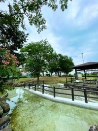 保第3公園の池