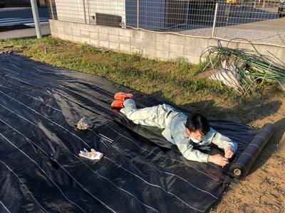 先輩職員の写真